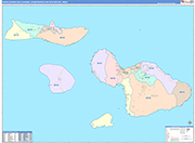 Kahului-Wailuku-Lahaina Metro Area Wall Map Color Cast Style